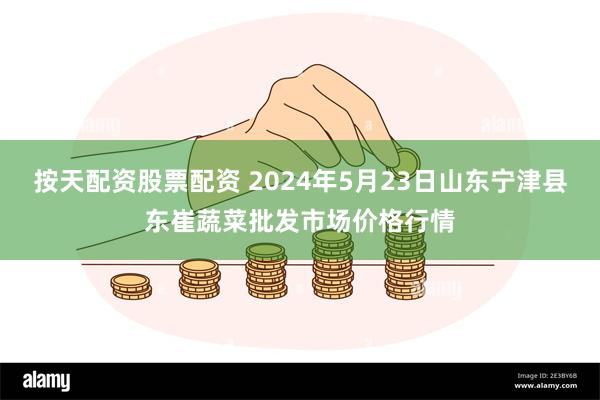 按天配资股票配资 2024年5月23日山东宁津县东崔蔬菜批发市场价格行情