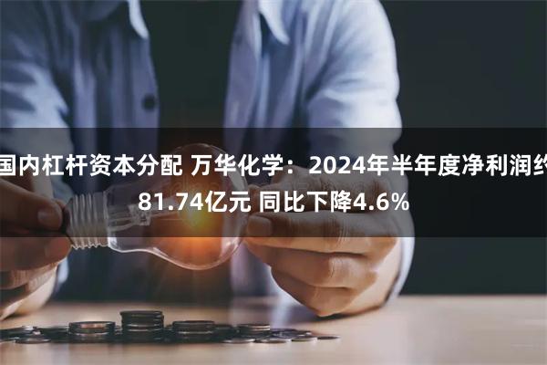 国内杠杆资本分配 万华化学：2024年半年度净利润约81.74亿元 同比下降4.6%