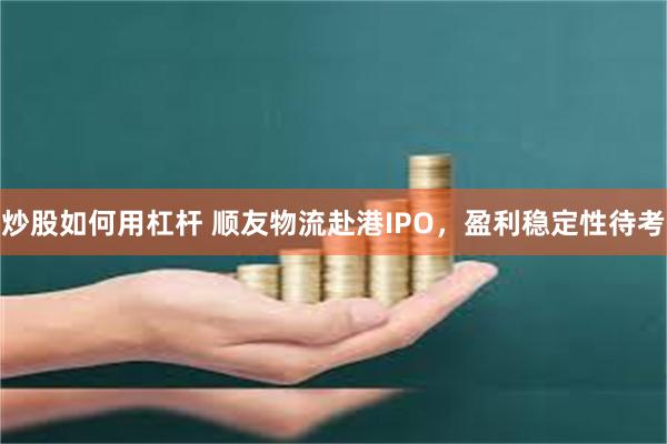 炒股如何用杠杆 顺友物流赴港IPO，盈利稳定性待考