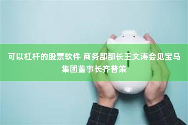 可以杠杆的股票软件 商务部部长王文涛会见宝马集团董事长齐普策