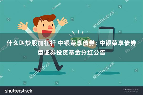 什么叫炒股加杠杆 中银荣享债券: 中银荣享债券型证券投资基金分红公告