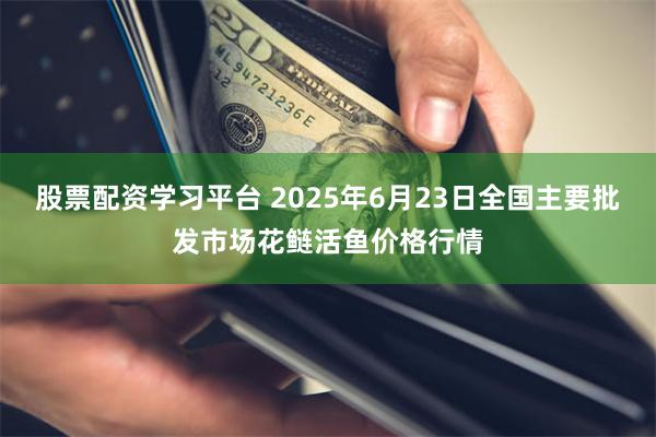 股票配资学习平台 2025年6月23日全国主要批发市场花鲢活鱼价格行情