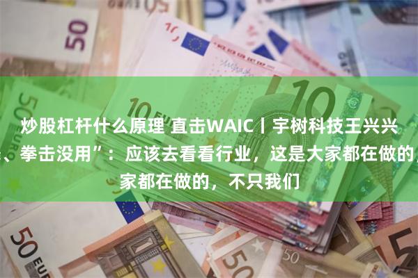 炒股杠杆什么原理 直击WAIC丨宇树科技王兴兴回应“跳舞、拳击没用”：应该去看看行业，这是大家都在做的，不只我们