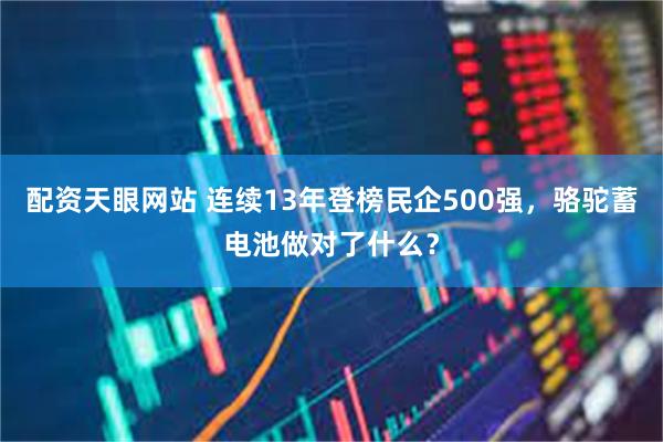 配资天眼网站 连续13年登榜民企500强，骆驼蓄电池做对了什么？