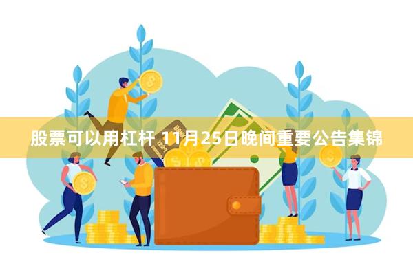 股票可以用杠杆 11月25日晚间重要公告集锦