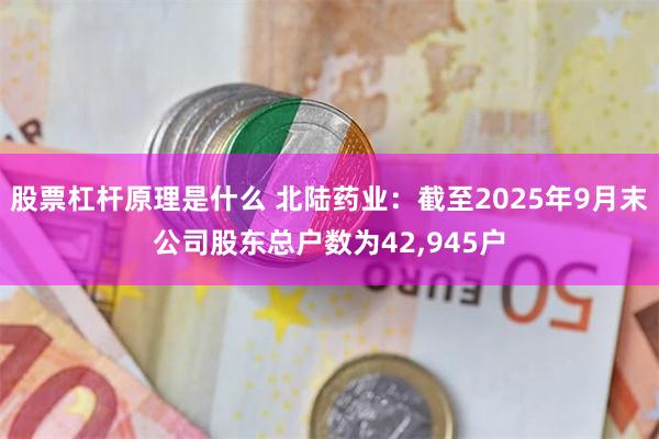 股票杠杆原理是什么 北陆药业:截至2025年9月末公司股东总户数为42,945户