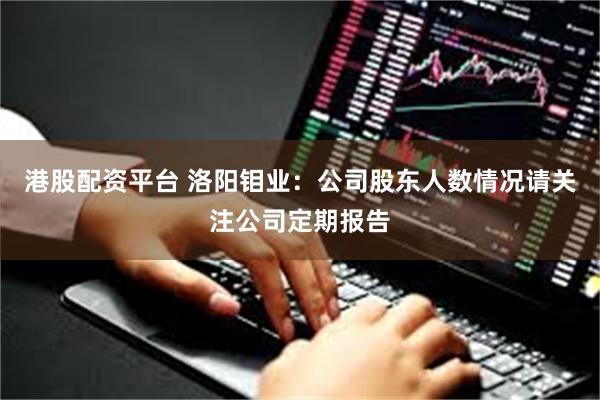 港股配资平台 洛阳钼业：公司股东人数情况请关注公司定期报告